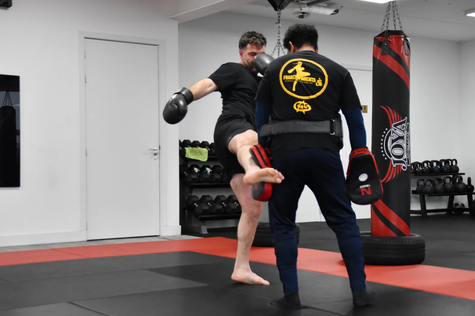 Opvoedend boksen — training